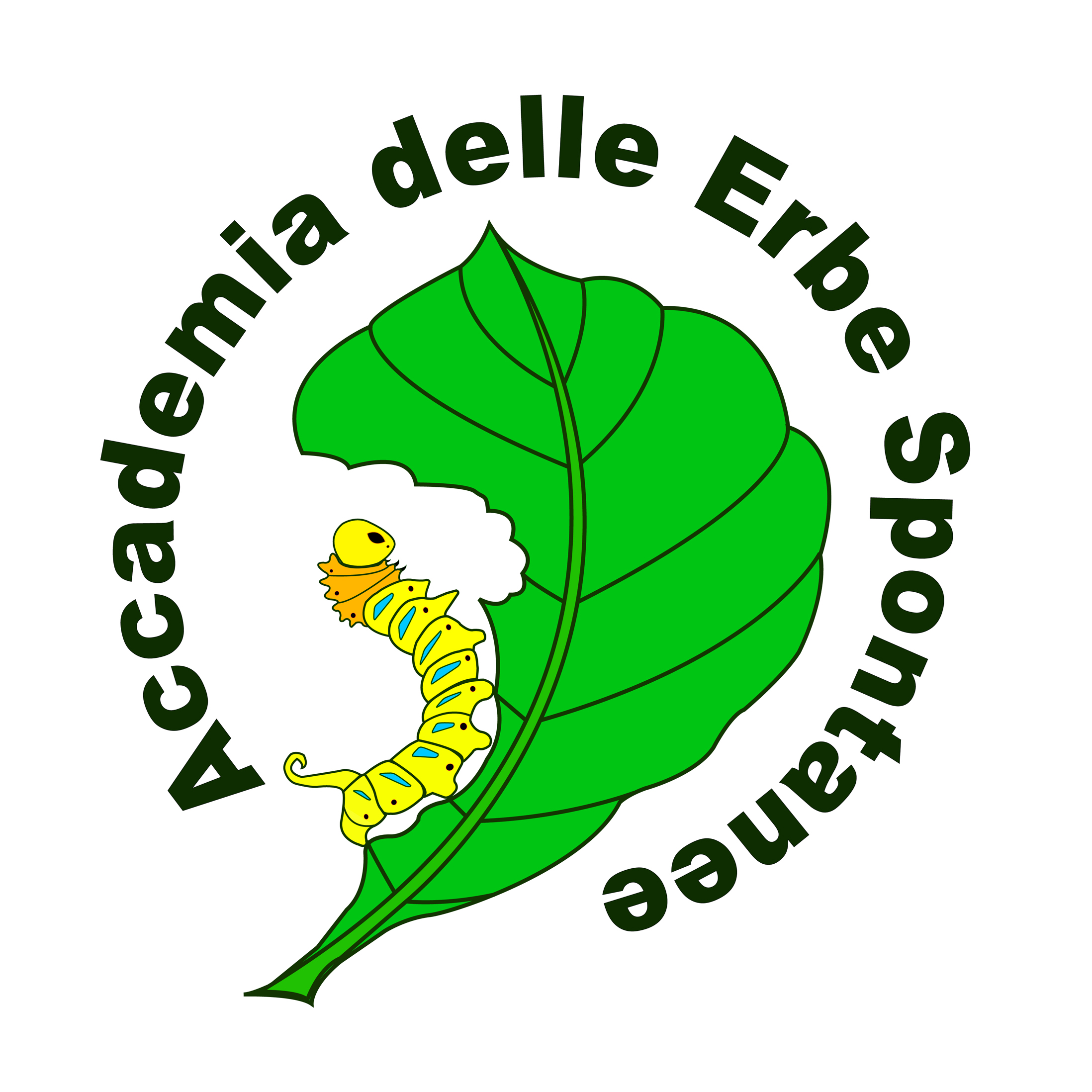 Accademia delle erbe spontanee